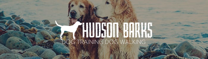 dog walking services in weehawken