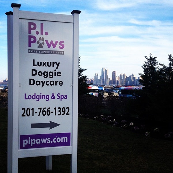 local weehawken city dog daycare